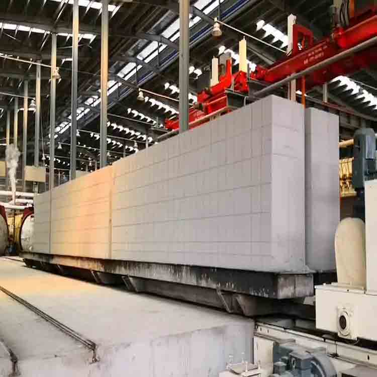 Why are autoclaved aerated concrete blocks so popular?