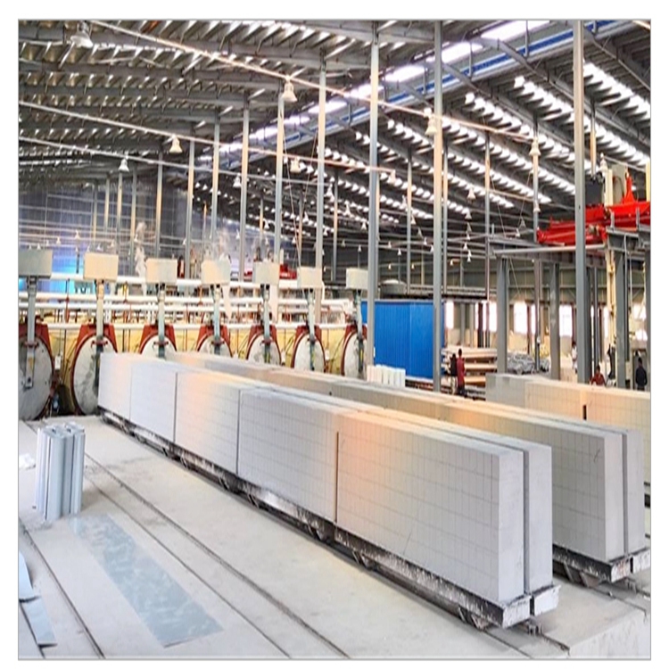 100,000 m³/Year Aac Block Plant Autoclaved Aerated Concrete Block Making Machine